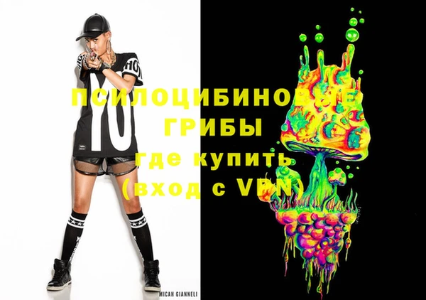 apvp Белокуриха