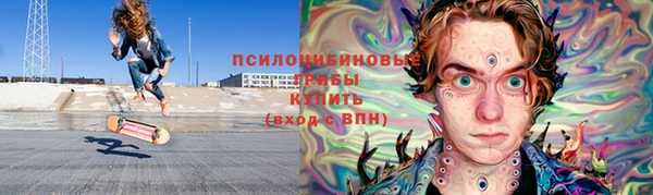 apvp Белокуриха
