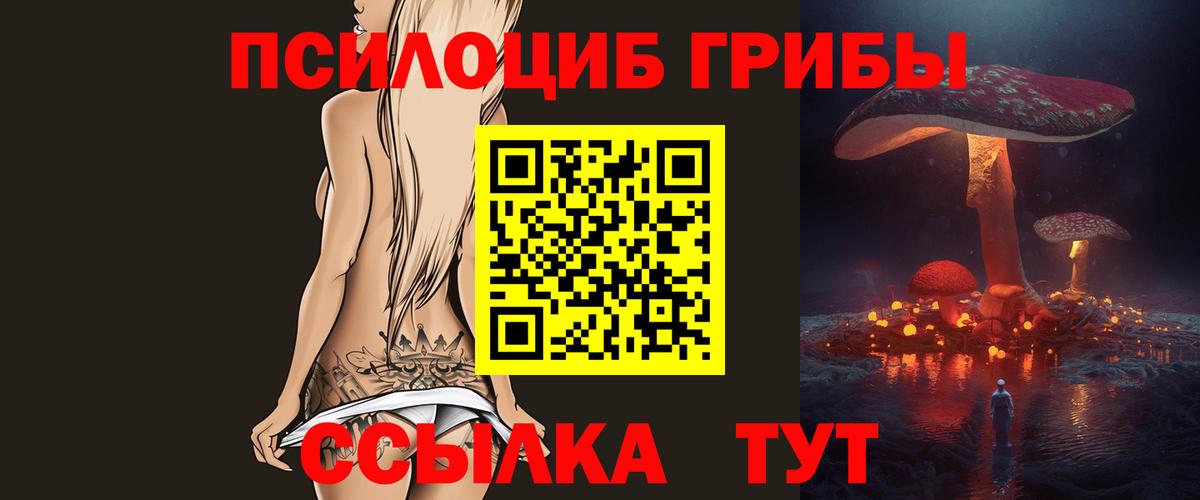 Галлюциногенные грибы прущие грибы Волжск